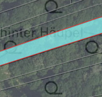 Waldfläche in Waldmohr - 1.024,00&nbsp;EUR Kaltmiete, ca.&nbsp; 0,00&nbsp;m&sup2; in Waldmohr (PLZ: 66914)