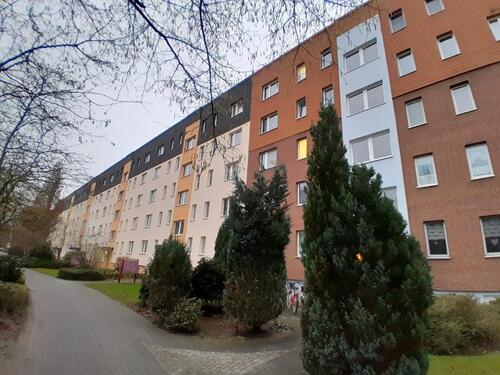 Foto - 2 Zimmer Etagenwohnung zur Miete in Greifswald