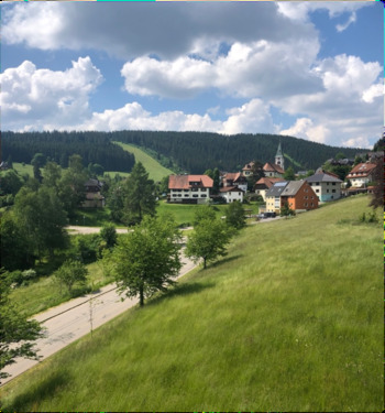 Foto - Panoramablick mit S-Bahnanschluss: 2-Zi.-Wohnung in Altglashütten