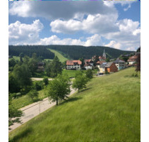 Panoramablick mit S-Bahnanschluss: 2-Zi.-Wohnung in Altglashütten - Feldberg (Schwarzwald)