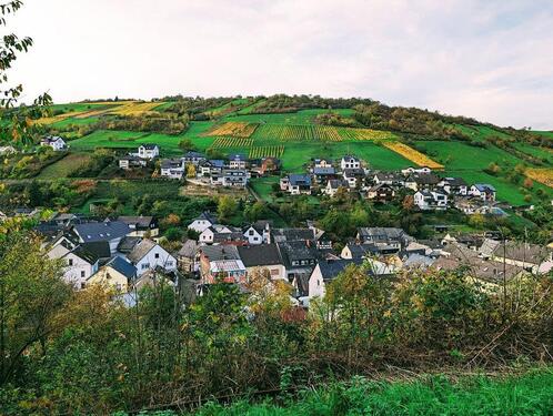 Foto - Traumhafte Aussicht zu verpachten Wiesengrundstück Obstbaum
