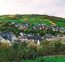 Traumhafte Aussicht zu verpachten Wiesengrundstück Obstbaum - Weiler bei Bingen
