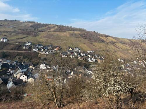 Foto - Grundst&uuml;ck in Weiler bei Bingen