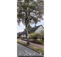 Vermiete 4 Zimmer Wohnung in Schneverdingen