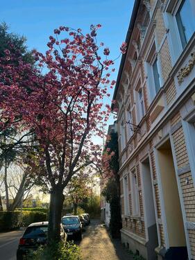 Foto - Zimmer in Haus WG frei, Beuel ️‍