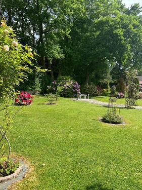 Foto - 5 Zimmer Einfamilienhaus in Aurich