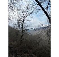 Waldgrundstück zu verpachten | Oberdiebach - Weiler bei Bingen