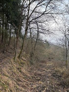 Foto - Grundst&uuml;ck zur Miete in Weiler bei Bingen