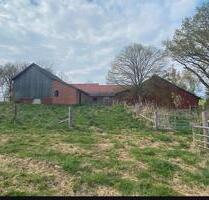 Charmanter Resthof mit 2 ha Land und großem Entwicklungspotenzial - Bücken