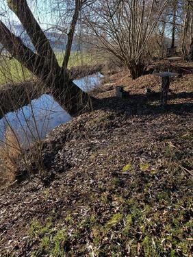 Foto - Schöner Garten mit Bachlauf als Freizeitgrundstück