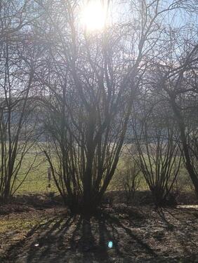 Foto - Grundst&uuml;ck in Gerolsbach zur Miete