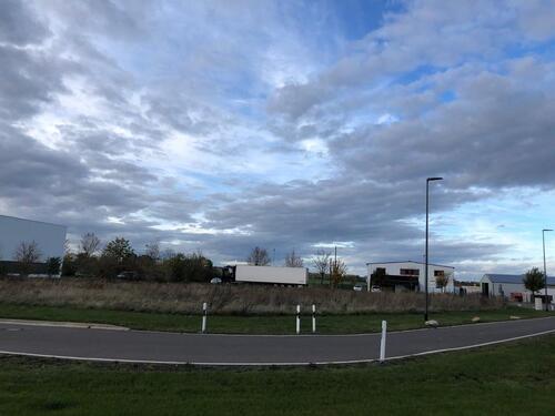 Foto - andere in Elsteraue