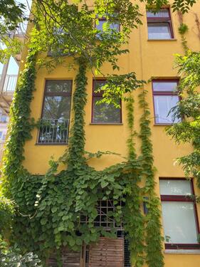 Foto - Etagenwohnung in Halle (Saale) zur Miete