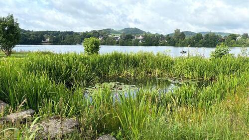 Foto - andere in Sundern (Sauerland) zur Miete