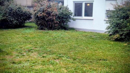 Foto - Sonnige 2-Zimmer-Wohnung mit Terrasse und Garagenstellplatz