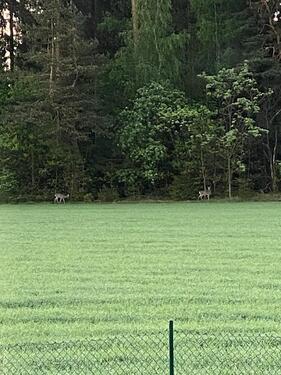 Foto - Einfamilienhaus in Selb