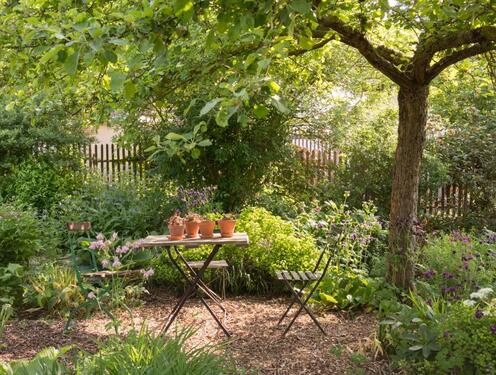 Foto - 75 qm große Einliegerwohnung in MichelbachBilz zu vermieten