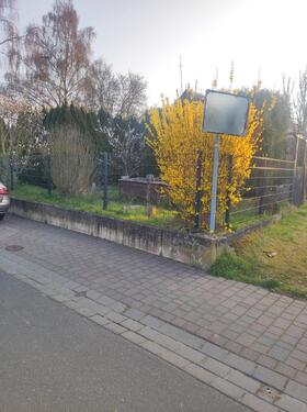 Foto - 6 Zimmer Einfamilienhaus zum Kaufen in Simmern/Hunsrück