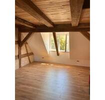 Charmante Maisonette Wohnung am Schillerplatz mit Klimaanlage - Bamberg Gärtnerstadt