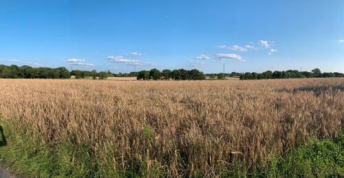 Foto - ☀️ Exklusive Eigentumswohnung zu verkaufen ☀️