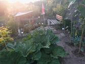 Foto - 