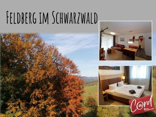 Foto - Ferienwohnung Feldberg im Schwarzwald Nähe Titisee