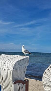 Foto - andere zur Miete in Heiligenhafen