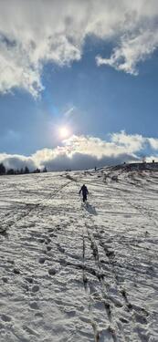 Foto - andere in Braunlage zur Miete