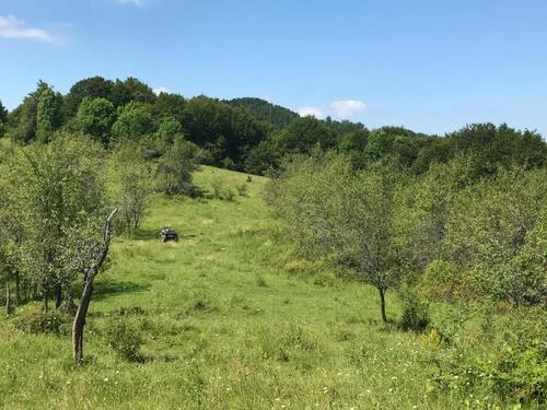 Foto - vermiete traumhaftes Grundstück in Rumänien