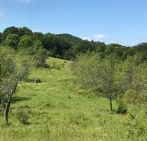 vermiete traumhaftes Grundstück in Rumänien - Siegsdorf