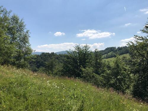 Foto - andere zur Miete in Siegsdorf