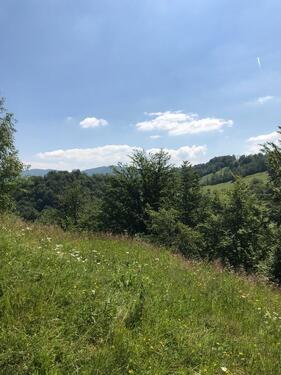 Foto - andere in Siegsdorf zur Miete
