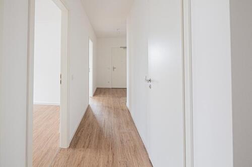 Foto - 4 Zimmer Etagenwohnung zur Miete in Dresden