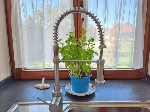 Foto - Einfamilienhaus in Buttenwiesen zur Miete