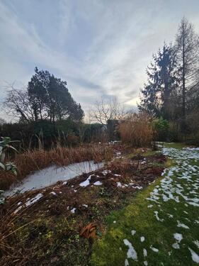 Foto - Einfamilienhaus in Wittenhagen zum Kaufen