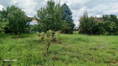 Foto - Baugrundstück für 2 EFH im OT WINTERSDORF