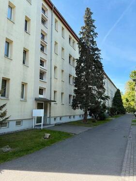 Foto - 2 Zimmer Erdgeschoßwohnung zur Miete in Erfurt