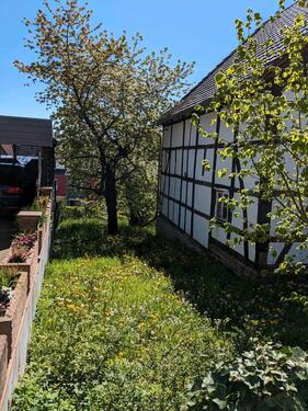 Foto - 5 Zimmer Einfamilienhaus zum Kaufen in Höxter