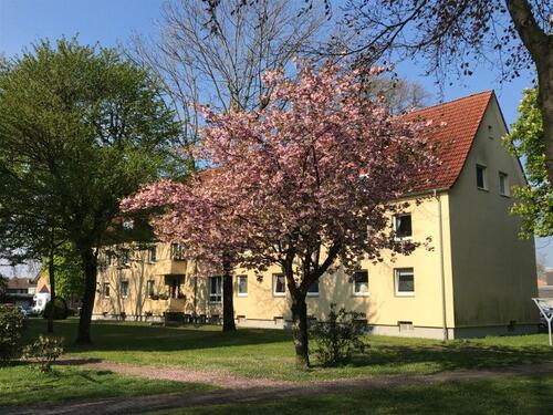 Foto - Gemütliche 3-Zimmer-Wohnung im Dachgeschoss