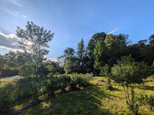 Foto - 5 Zimmer Bauernhaus, Landhaus zum Kaufen in Diesdorf