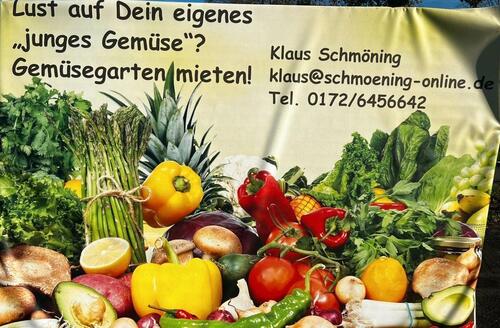 Foto - Gemüsegartenvermietung Schmöning
