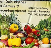 Gemüsegartenvermietung Schmöning - Haltern am See