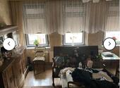 Foto - Einfamilienhaus in Artern zum Kaufen