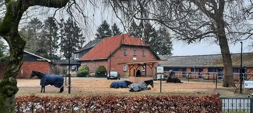 Foto - Reitanlage Reiterhof Pferdehof mit mehreren Wohneinheiten