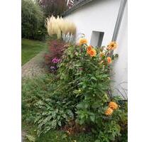 ferienhaus ferienwohnung dresden