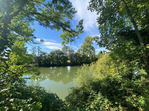 Foto - 3.5 Zimmer Etagenwohnung zur Miete in Oedheim