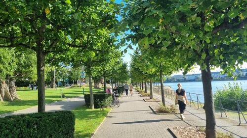 Foto - Mega Lage! Helle 3 Zimmer Wohnung (74qm) + Balkon+Garage in Beuel