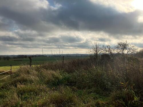 Foto - Grundst&uuml;ck in Penzlin
