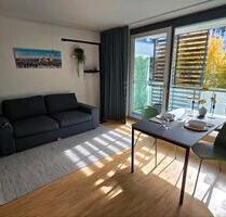 voll möbliertes Apartment ca 42qm Nähe Stiglmaierplatz befristet - München Ludwigsvorstadt-Isarvorstadt