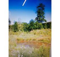 Wohnung in Nalbach - 395,00&nbsp;EUR Kaltmiete, ca.&nbsp; 58,00&nbsp;m&sup2; in Nalbach (PLZ: 66809)